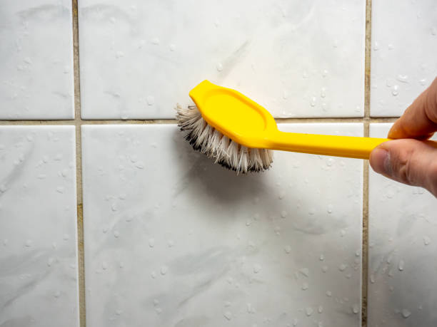 Water Damage Restoration in Tickfaw, LA